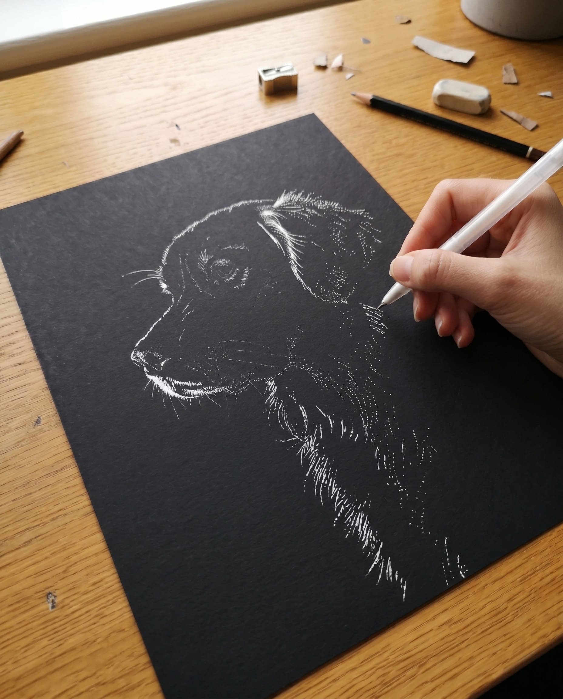 Module 4 — drawing the fur and details